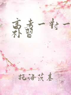 高考一对一冲刺补习