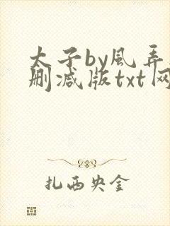 太子by风弄无删减版txt网盘