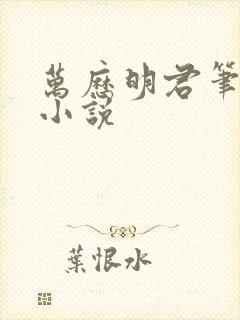 万历明君笔趣阁小说