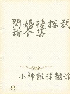 闪婚后总裁娇妻甜全集