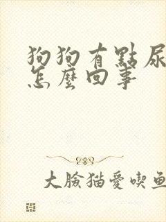 狗狗有点尿血是怎么回事