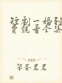 短剧一婚到底免费观看全集高清