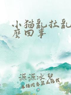 小猫乱拉乱尿怎么回事