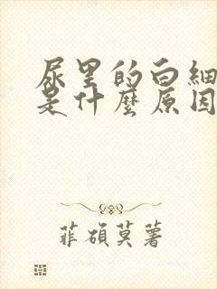 尿里的白细胞高是什么原因