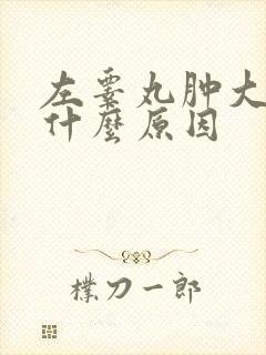 左睾丸肿大还疼什么原因