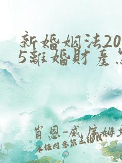 新婚姻法2025离婚财产怎么分配