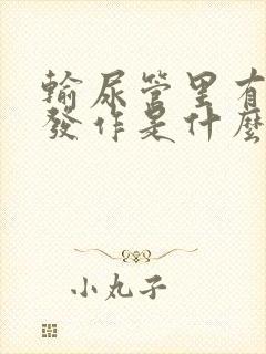 输尿管里有结石发作是什么症状