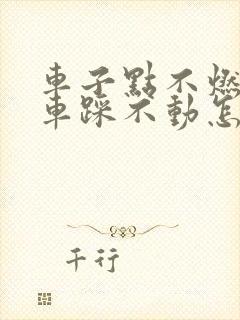 车子点不燃火刹车踩不动怎么回事