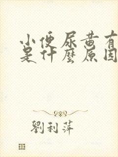 小便尿黄有泡沫是什么原因