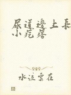 尿道边上长了个小疙瘩