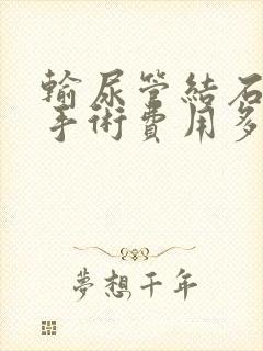 输尿管结石软镜手术费用多少