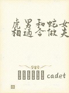 虎男和蛇女的属相适合做夫妻吗