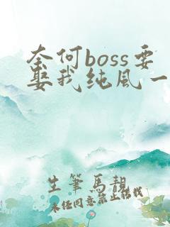 奈何boss要娶我纯风一度全文