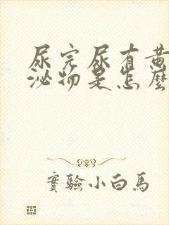 尿完尿有黄色分泌物是怎么回事