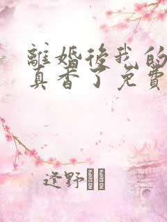 离婚后我的前夫真香了免费阅读