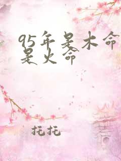 95年是木命还是火命