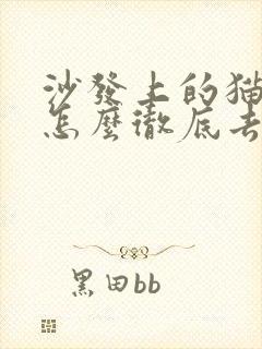 沙发上的猫尿味怎么彻底去除