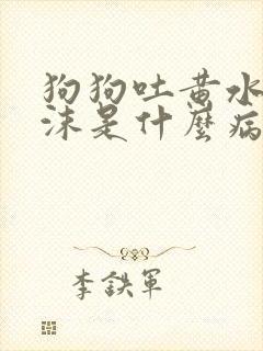 狗狗吐黄水带泡沫是什么病