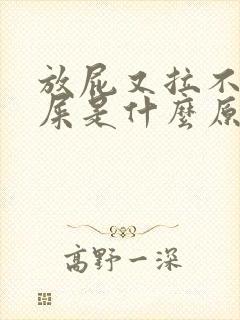 放屁又拉不出来屎是什么原因