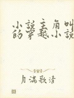 小说主角叫苏辰的穿越小说