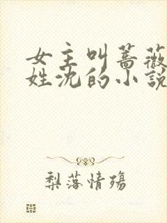 女主叫蔷薇男主姓沈的小说