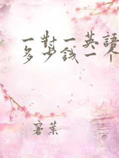 一对一英语补课多少钱一个小时