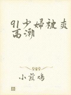 91少妇被爽到高潮