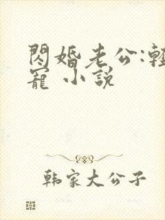 闪婚老公:轻点宠 小说