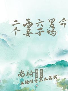 二两六男命有两个妻子吗