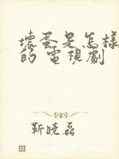 坏蛋是怎样炼成的 电视剧