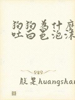 狗狗为什么会呕吐白色泡沫粘液