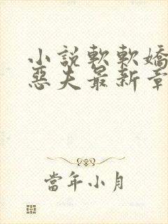 小说软软娇妻驭恶夫最新章节