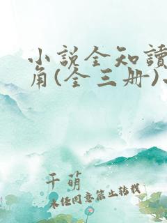 小说全知读者视角(全三册)小说