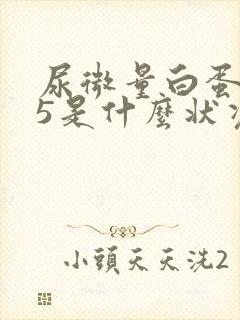 尿微量白蛋白35是什么状况