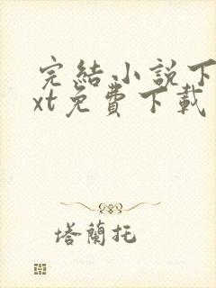 完结小说下载txt免费下载