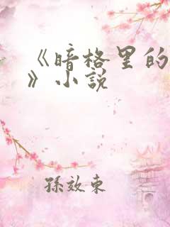 《暗格里的秘密》小说