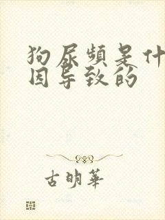 狗尿频是什么原因导致的