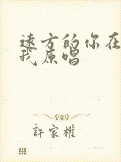 远方的你在等着我原唱