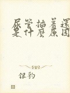 尿管插着还漏尿是什么原因