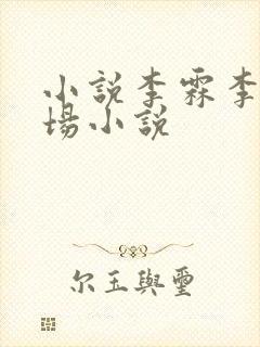 小说李霖李澜官场小说