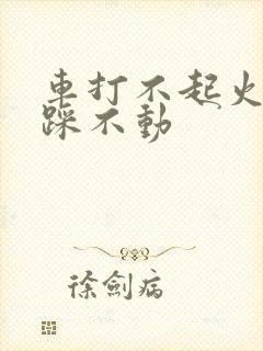 车打不起火刹车踩不动