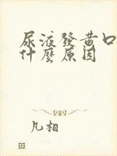 尿液发黄口苦是什么原因