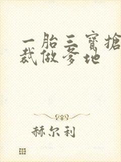 一胎三宝抢个总裁做爹地