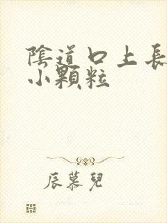 阴道口上长一个小颗粒