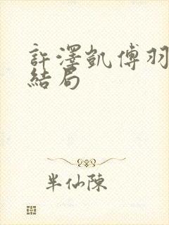 许泽凯傅羽茜大结局