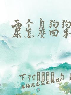 两个月狗狗频繁尿怎么回事