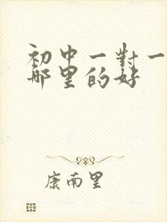 初中一对一辅导哪里的好