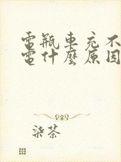 电瓶车充不进去电什么原因亮绿灯