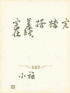 完美搭档完整版在线