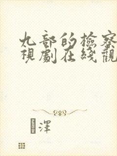 九部的检察官电视剧在线观看全集